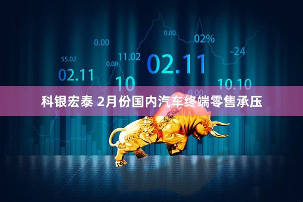 科银宏泰 2月份国内汽车终端零售承压