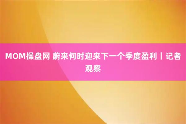 MOM操盘网 蔚来何时迎来下一个季度盈利丨记者观察