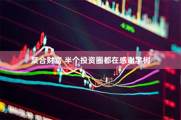 聚合财富 半个投资圈都在感谢宇树