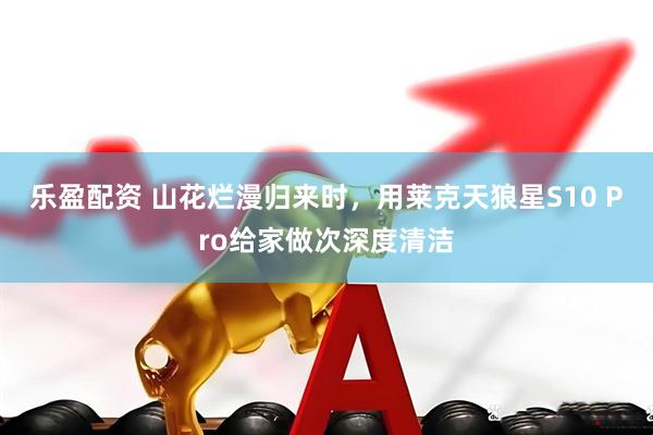 乐盈配资 山花烂漫归来时，用莱克天狼星S10 Pro给家做次深度清洁