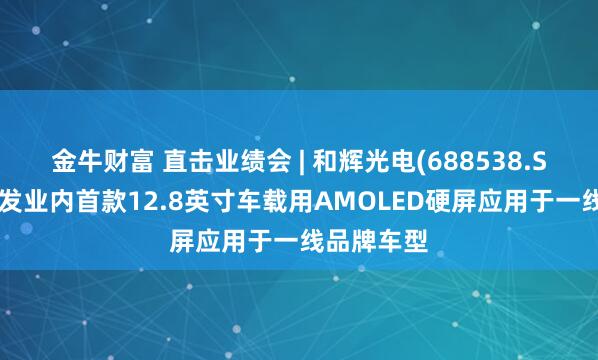 金牛财富 直击业绩会 | 和辉光电(688538.SH)：已开发业内首款12.8英寸车载用AMOLED硬屏应用于一线品牌车型
