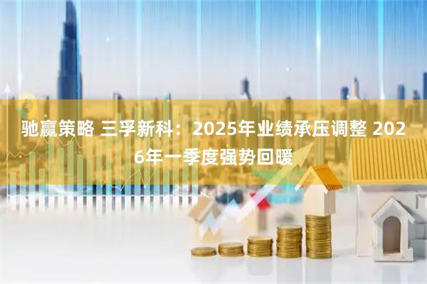 驰赢策略 三孚新科：2025年业绩承压调整 2026年一季度强势回暖