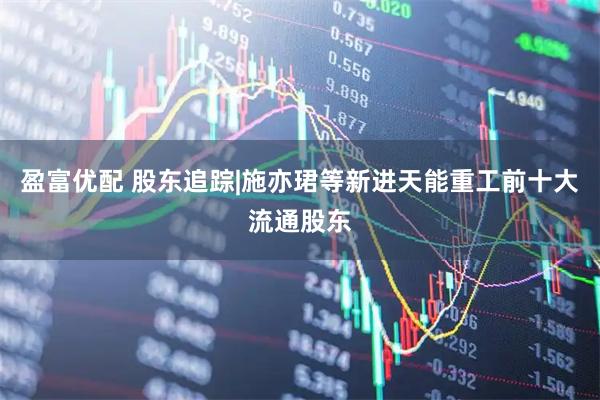盈富优配 股东追踪|施亦珺等新进天能重工前十大流通股东