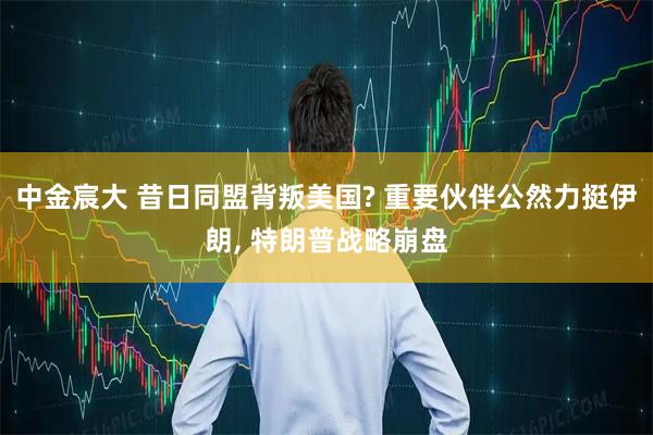 中金宸大 昔日同盟背叛美国? 重要伙伴公然力挺伊朗, 特朗普战略崩盘