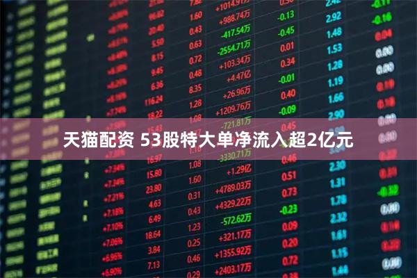 天猫配资 53股特大单净流入超2亿元