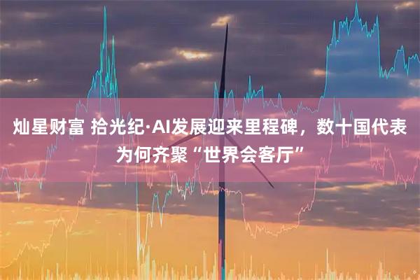 灿星财富 拾光纪·AI发展迎来里程碑，数十国代表为何齐聚“世界会客厅”
